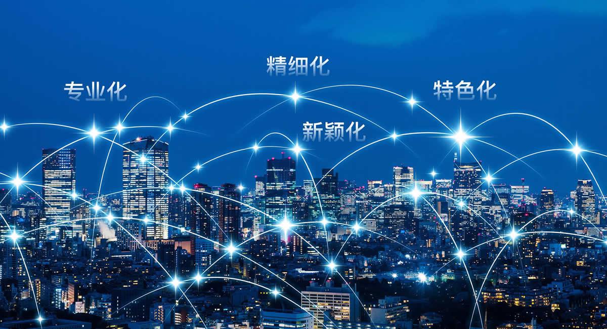 一站式服务专家